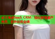 永久免费SaaS CRM：轻松管理客户关系，提升销售业绩