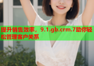 提升销售效率，9.1.gb.crm.7助你轻松管理客户关系